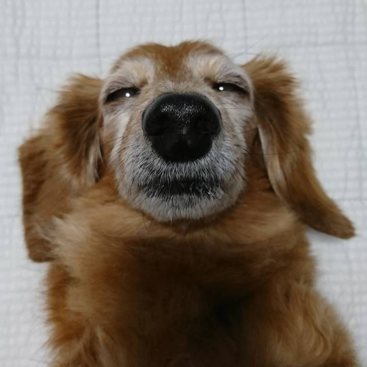 0fedb0c5 9d21 4928 957b ea0e1e4cfa4f