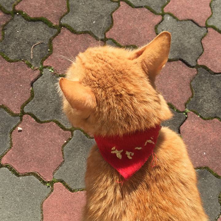 0fee3e22 75f1 4769 b2be 4053ce9e7326