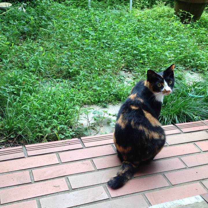 0feec35f d49e 49c0 8f00 55564b98c1a0