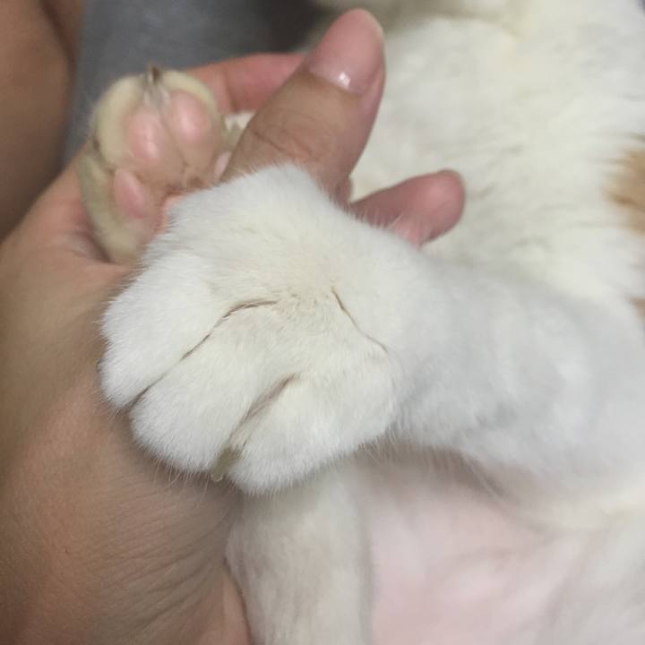 0feeed22 0ee1 4a11 807b 09a77d0e1db3