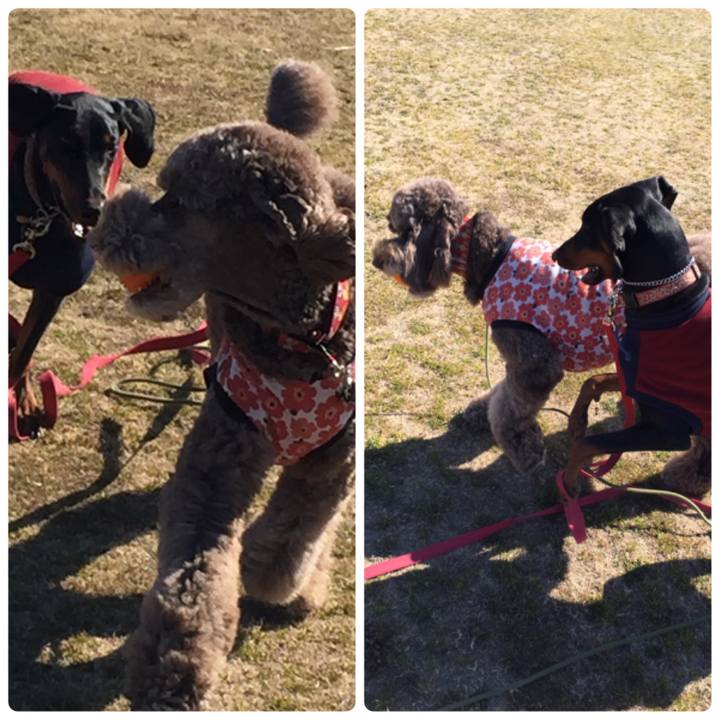 0fef9aea 05de 4bd2 ae51 175507fe874a