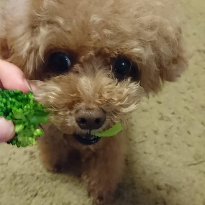 0ff0324e 5891 4e4c 9118 6f7f18e3a285