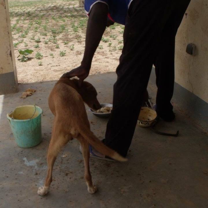 0ff07b85 bc08 4c43 9a62 9c60c4e8720f