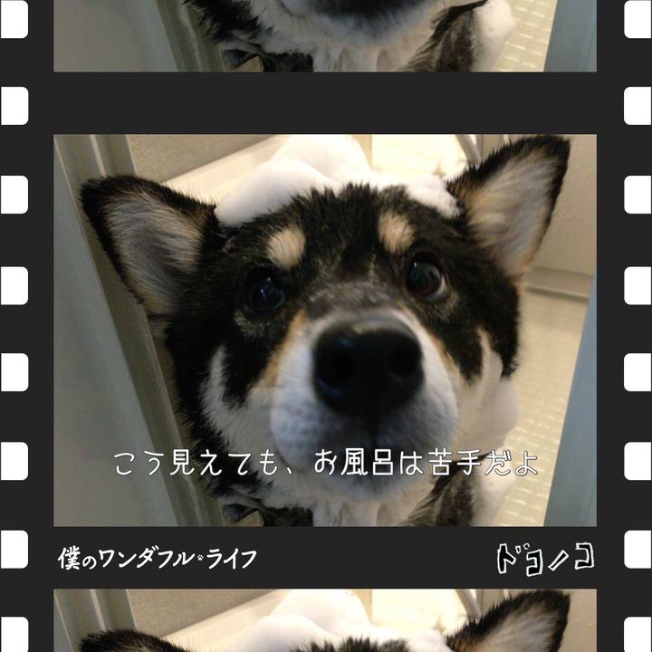 0ff128e8 34b0 47e4 8b94 a9976a7bba92