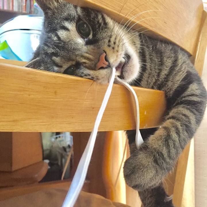 0ff1dc16 624b 494b 9e95 1d5d365451ea