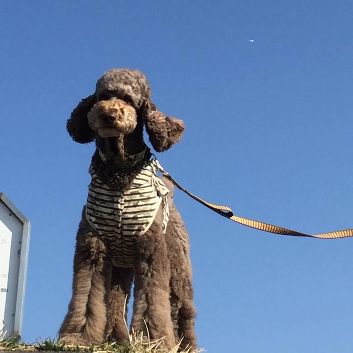 0ff30dd0 295b 4d5e a003 f6bb2d2b7da7