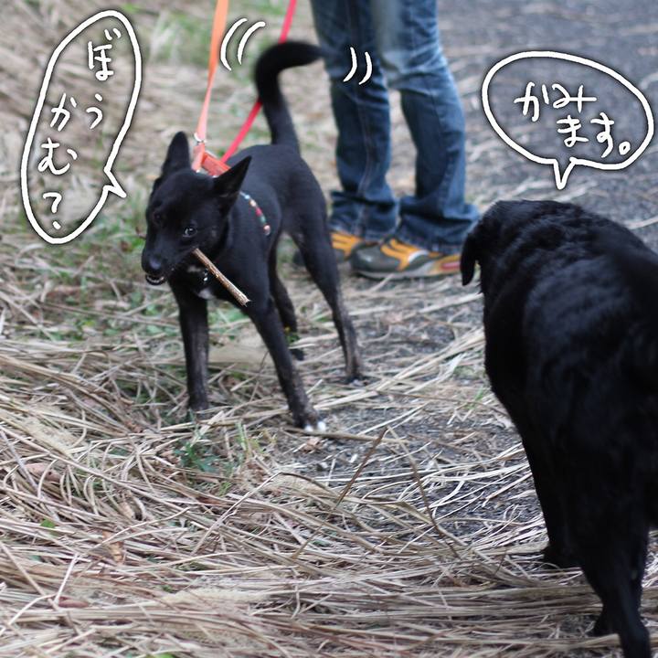 0ff36291 3574 404b a5d9 ce3d2c27a72e