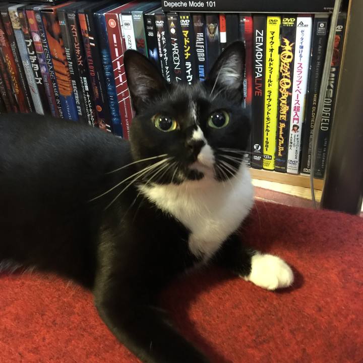 0ff376ab 3bdc 48b4 8166 25a49a229dbe