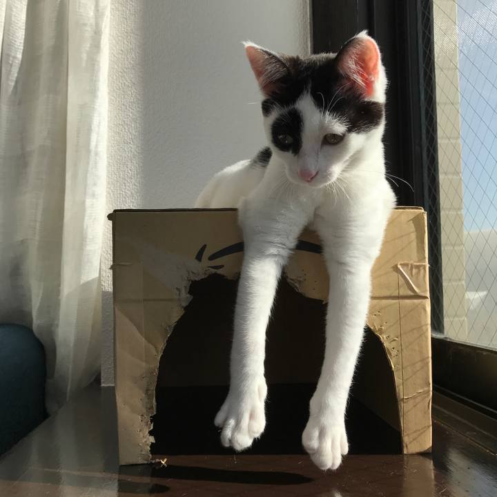 0ff4da59 3269 44f7 b7d4 592ca2153c45