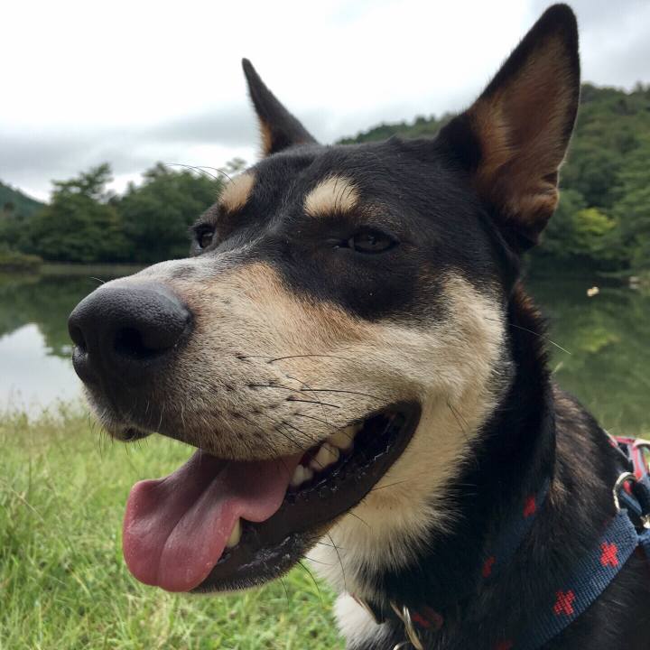 0ff5b11b 0f01 4df7 8489 1eb48cd2ed36