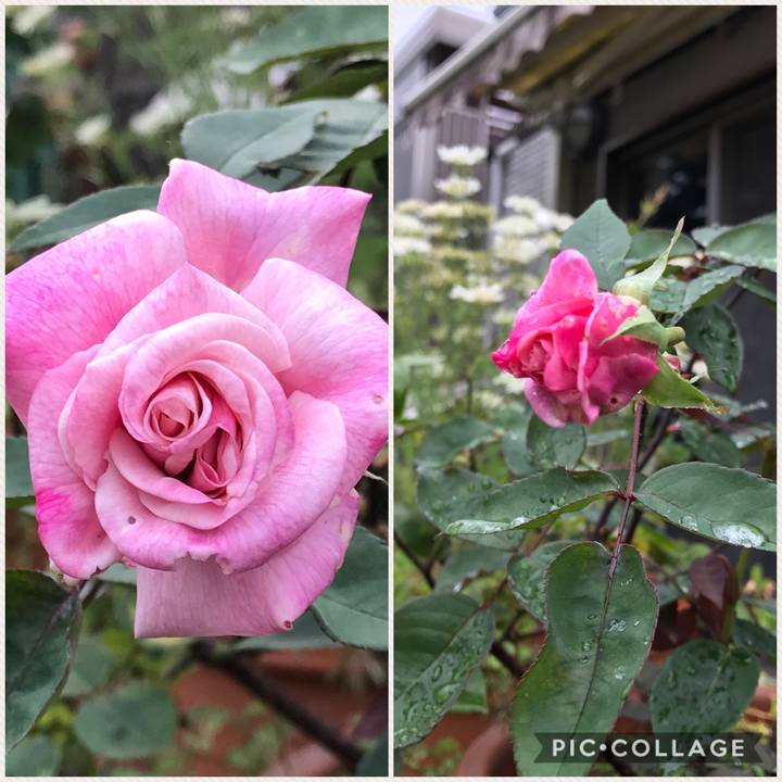 0ff64c47 a865 4992 b80c 0e822f69cb4f