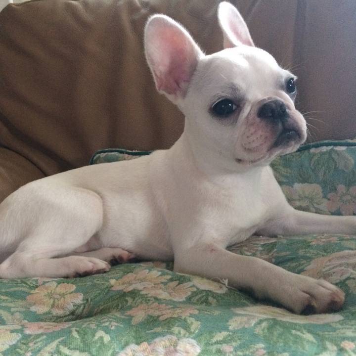 0ff64f66 6b9a 456a bc2f 2b2bf3cb0b12