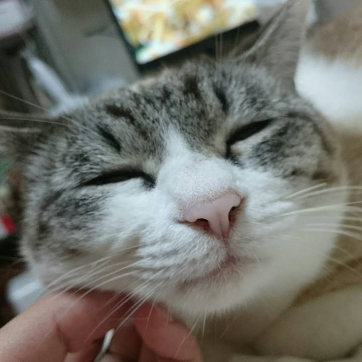 0ff657ce 8b89 4266 ade0 0c98f239987b