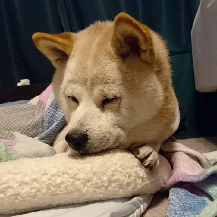 0ff6b210 8aa2 43da be6a 6159a77dca78