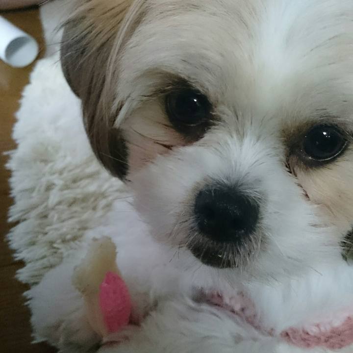 0ff746a4 4158 4189 814a e32daa1b82de