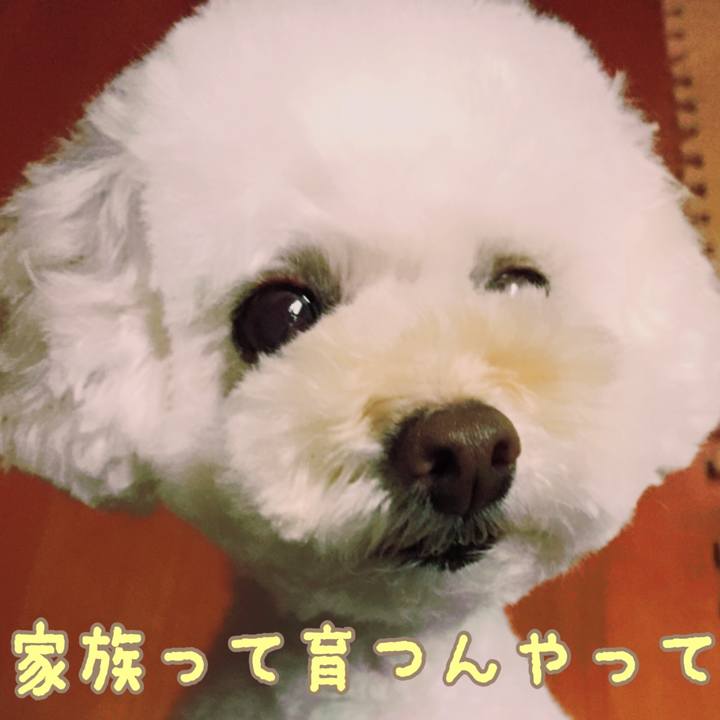 0ff773ae bab2 43fc 8377 0b268877326e