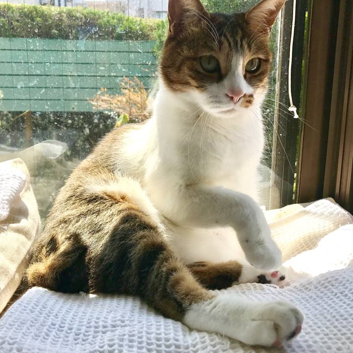 0ff7b022 834a 4bbf b711 7fd2df3f0b10