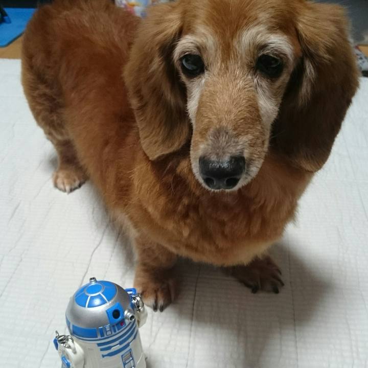 0ff806d4 7fa7 49a0 a951 35261986b57b