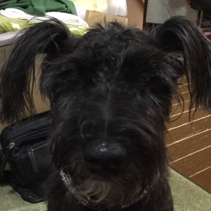 0ff8d6f5 0366 4587 a5a5 47debec23c0e