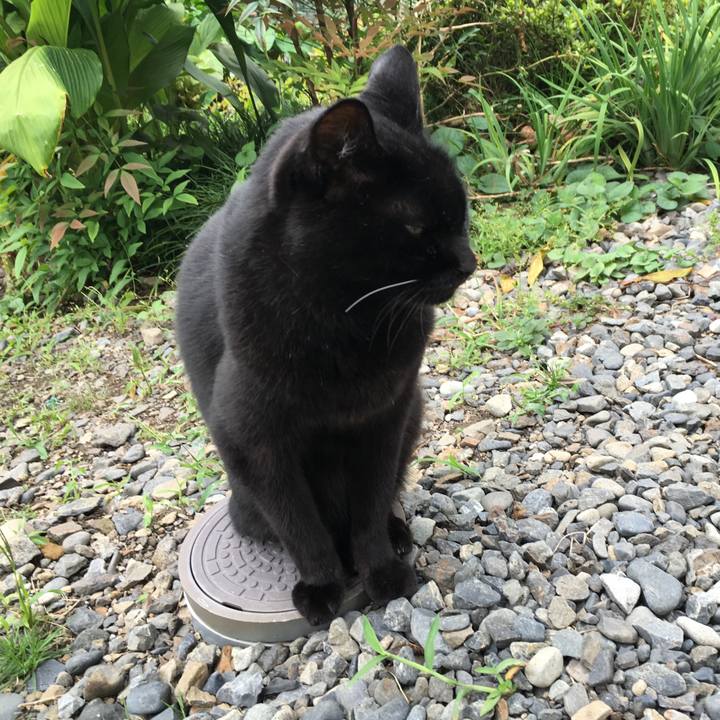 0ff8f335 9ea6 4853 ba53 39ebae134f9a