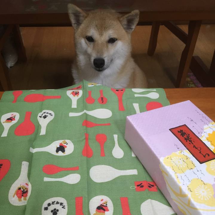 0ff9149f cc97 4308 b70f 9ab6ea135dcb