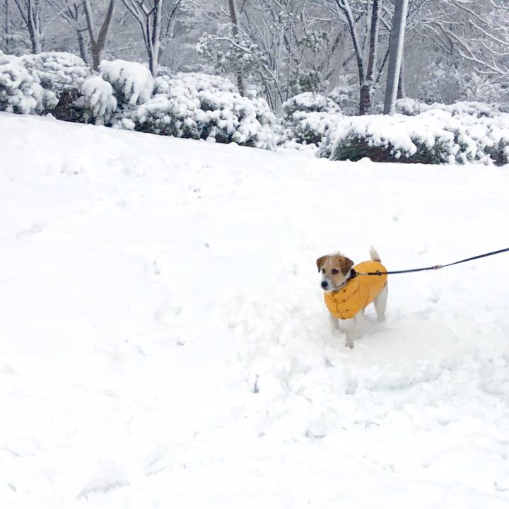 0ff927ac be52 4d85 8593 1f7fb4439ab8