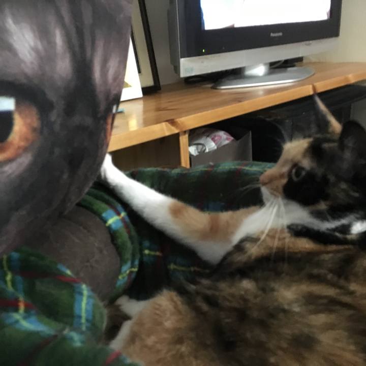 0ff98861 f0b1 4b32 9423 b858fe67c5cb