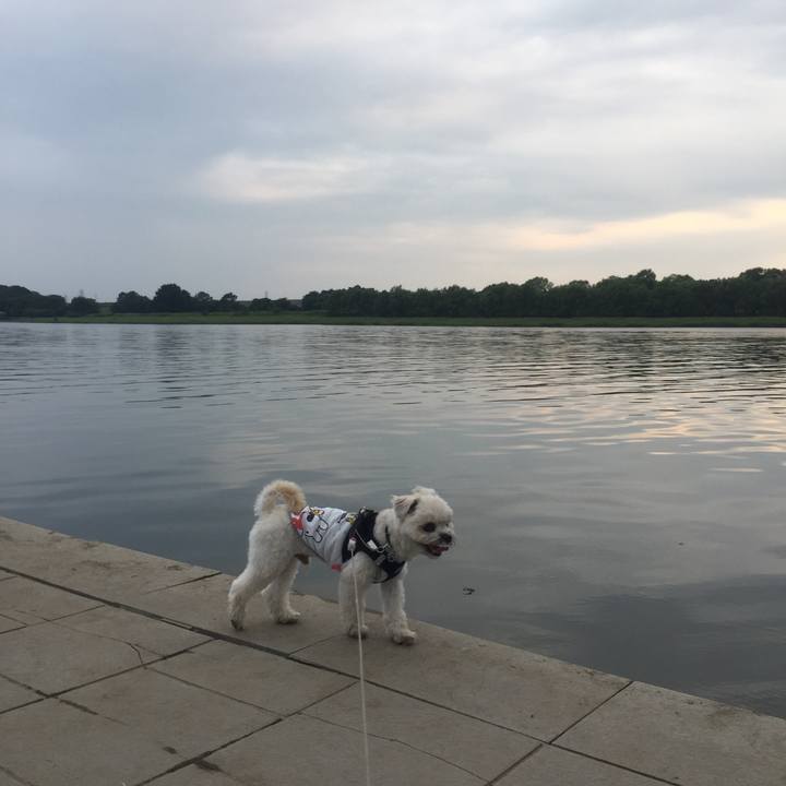 0ffa5fd5 d759 4760 bd45 b1bab3b101c1