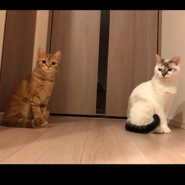 0ffb3b2c a44c 4dff a39d af355798cbaa