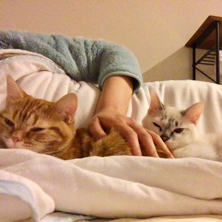 0ffb7ad7 9315 4d62 8739 ab34f16c4159