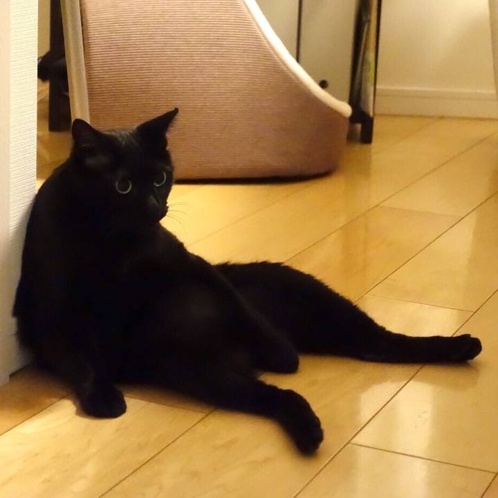 0ffbd10a f364 46e4 b9da 9c5cddeaf8c6