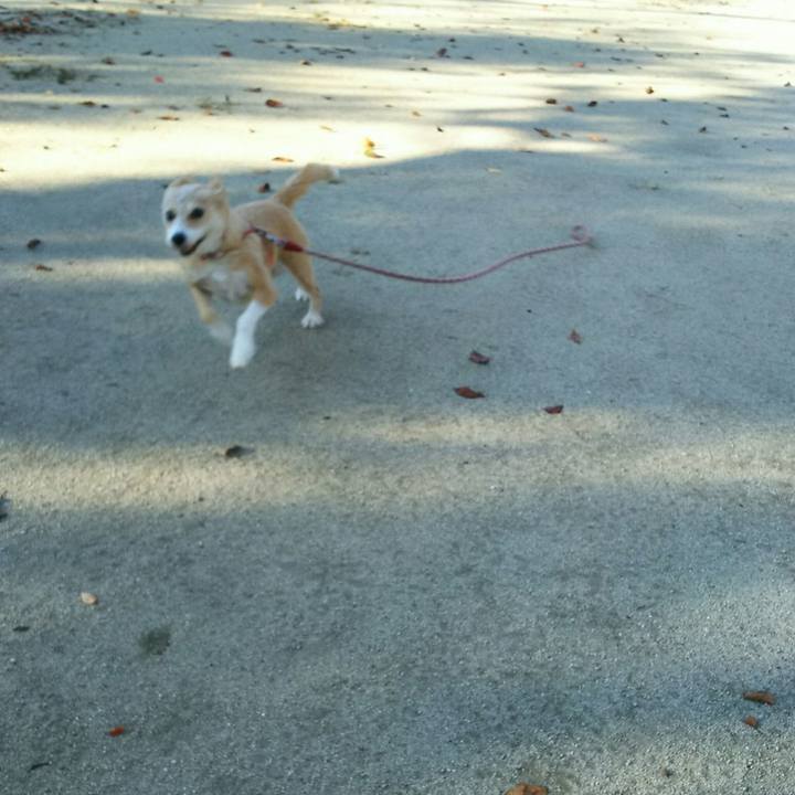 0ffc0b68 ce86 46a9 b26e 5ed5f2f007fa