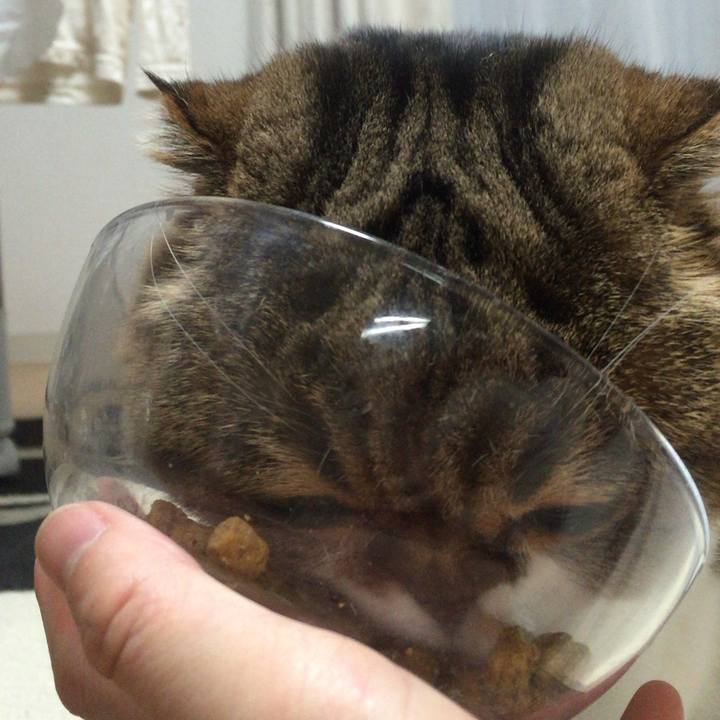 0ffc58ed b7ae 4750 aa0e fba66a2480f8