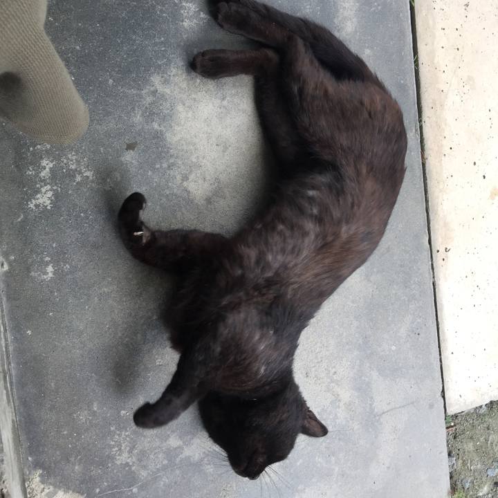 0ffce6e7 2ea6 4eca 8fad d69a1d57c6a1