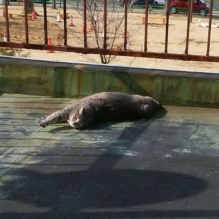 0ffd3d88 8cd2 4119 94f2 dbe70a417c10