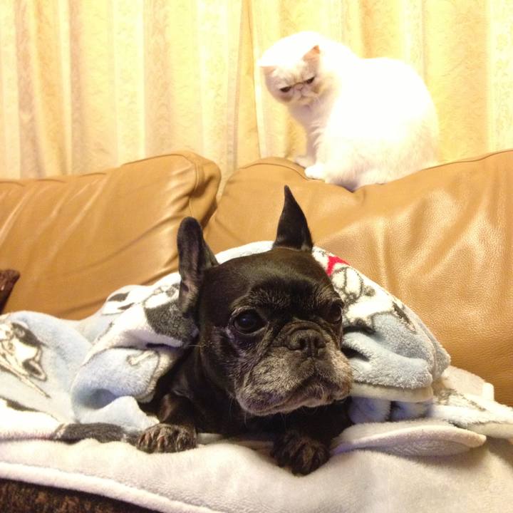 0ffdb8e7 b5db 4fc2 99cb b1980676dc15