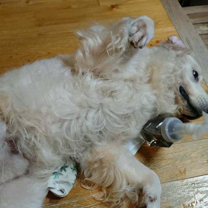 0ffdd97d f383 4b54 ac86 ac9d77e2ce27