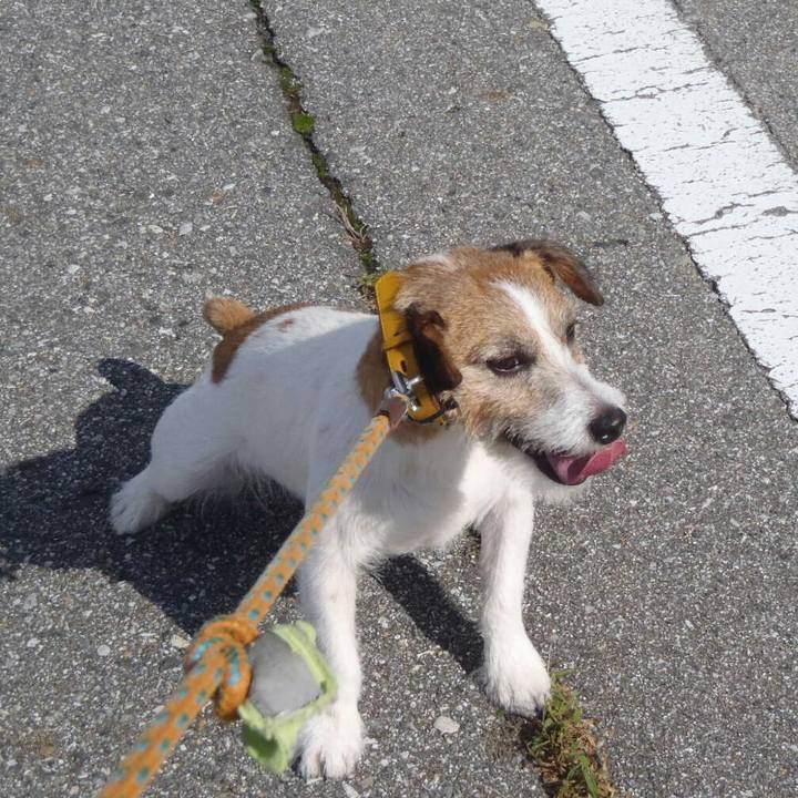 0ffe778a a04a 4d28 9641 836ef9d09e5b