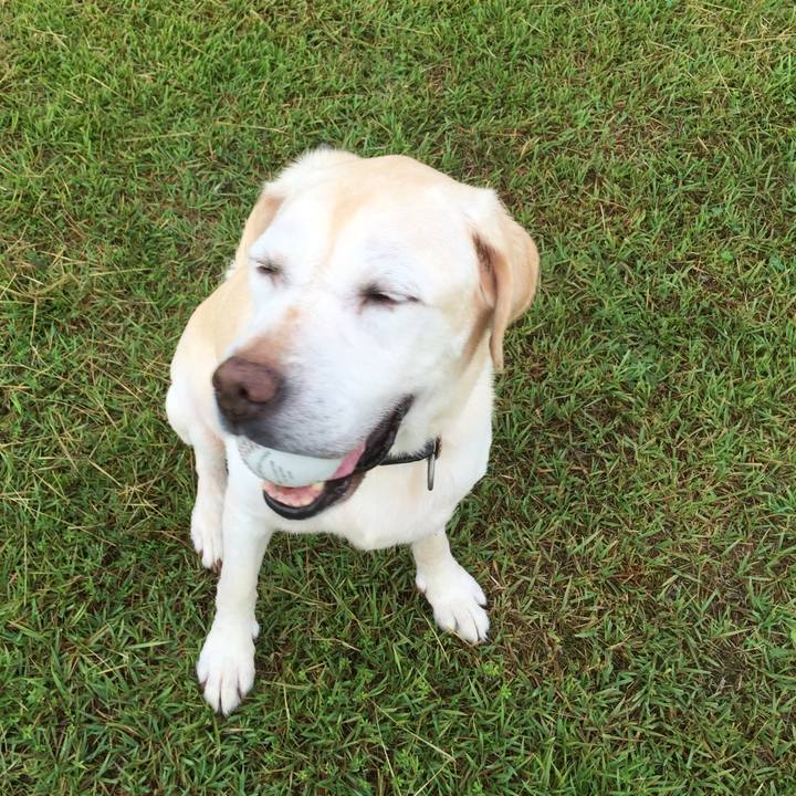 0ffec9a2 c632 4431 a2ed 365be0ac980a