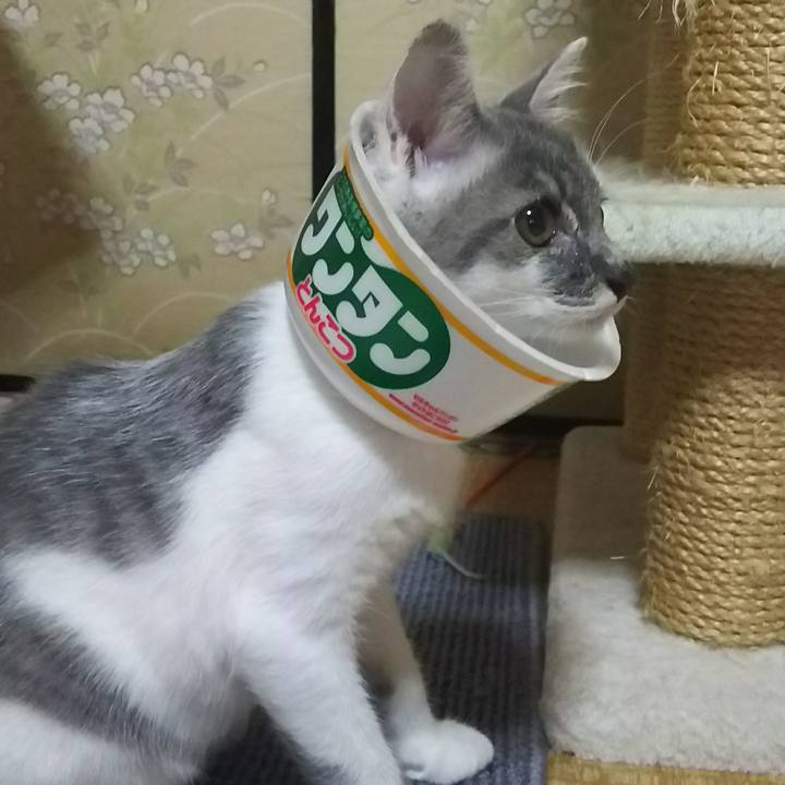 0fff0d4d ba59 40d5 8b8b 0cec44b1fda9