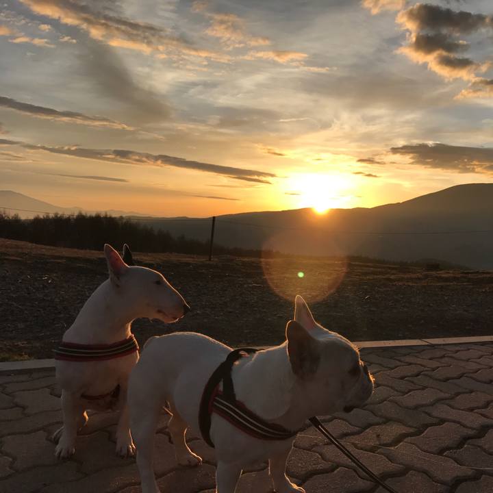 10006c25 2cd7 4314 abdd 395a0623ebaf