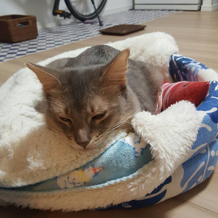 1000b867 d3f0 4f39 9fe7 17a4ab430be4