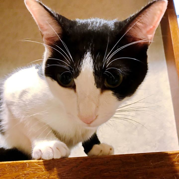 100130e7 224e 40d3 b38a 28e1596d32fe