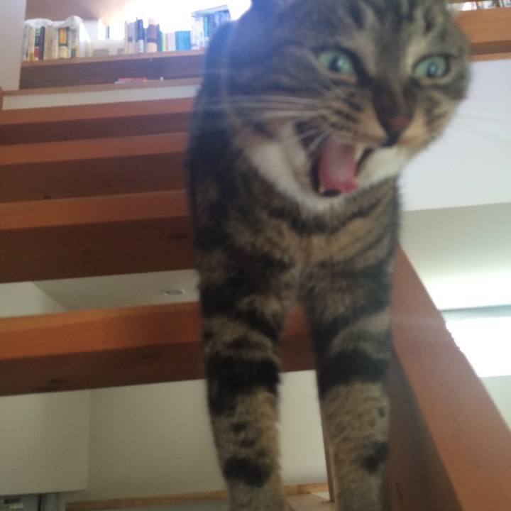 10014706 84a2 4798 984c 9a57a0b22813