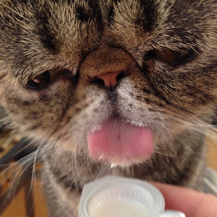 1001e455 1dfb 4e6e 9880 aa3469334b55