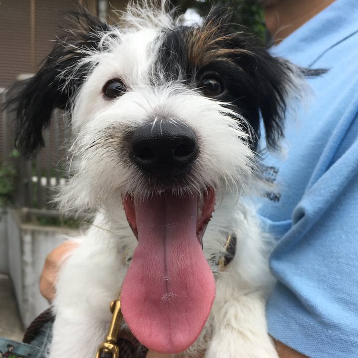 100223ed aaac 4672 b7f5 abef64a0f4c8