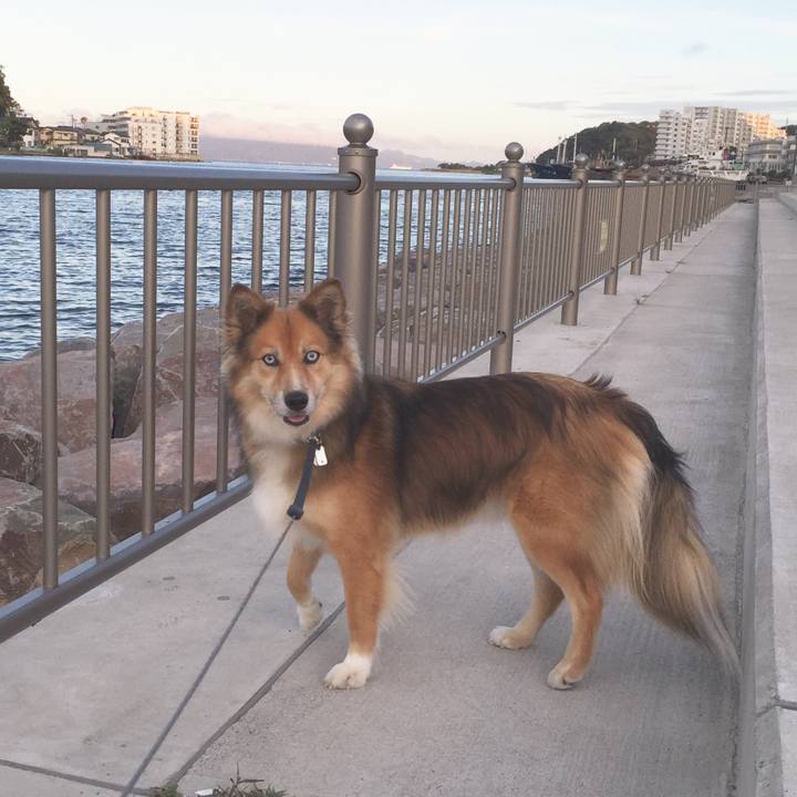 10027d05 4628 4595 90b7 9f58bf3398a5