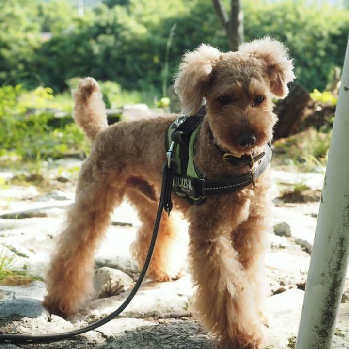 1002f9be fc7c 4952 aedf ca0914d69426