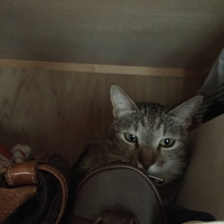 100353c6 c812 4eaf 92a8 bdd369f9b5be