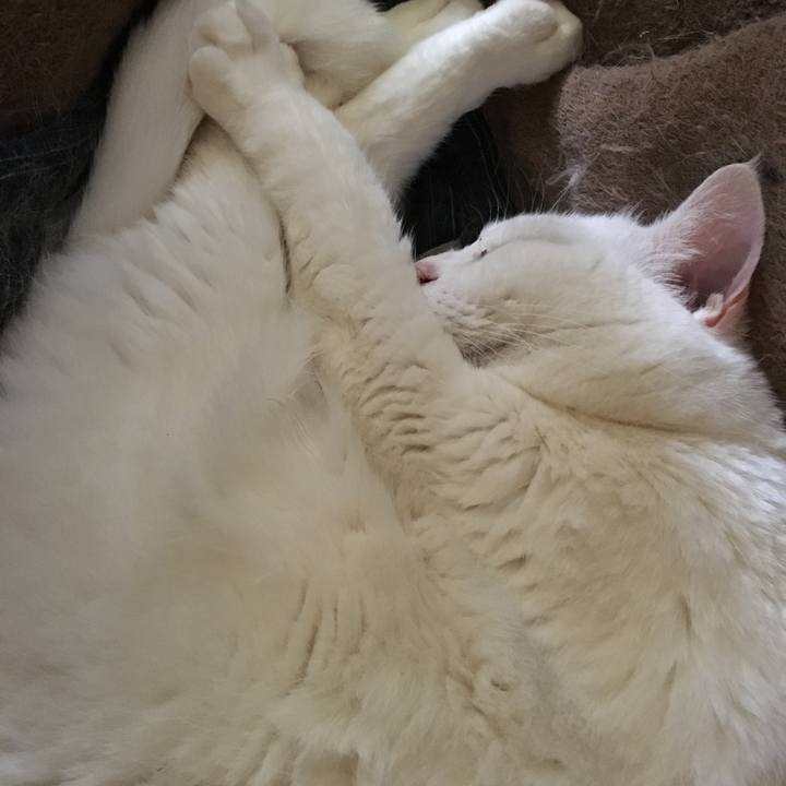 10041082 3606 4c38 ac5b 3dff54cfc60e